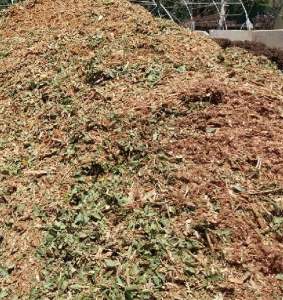 tree pruningmulch